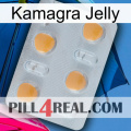 Kamagra Jelly 24